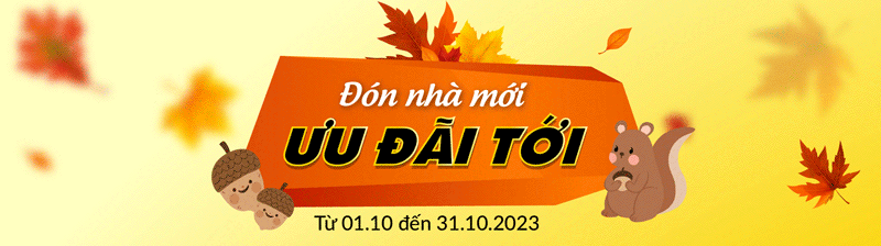 đầu camera
